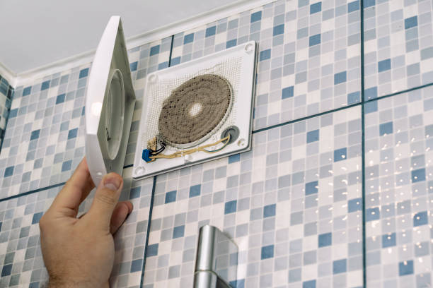 Best Air Duct Mold Removal  in Paulina, LA