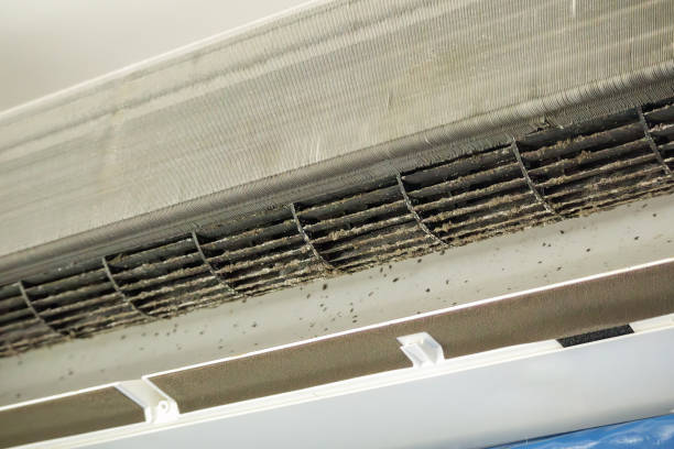 Best General Air Duct Cleaning  in Paulina, LA